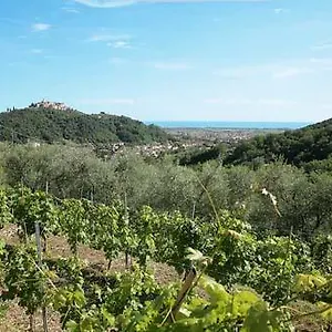 La Sarticola Luni